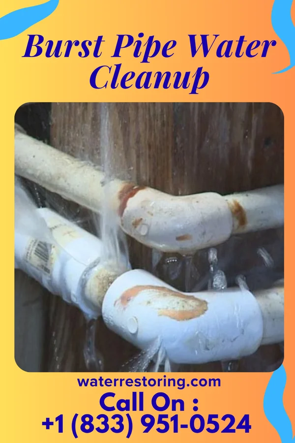 Burst Pipe Water Cleanup in Independence, KS
