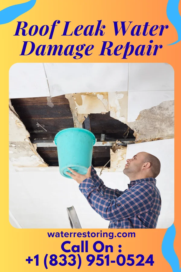 Roof Leak Water Damage Repair in Independence, KS