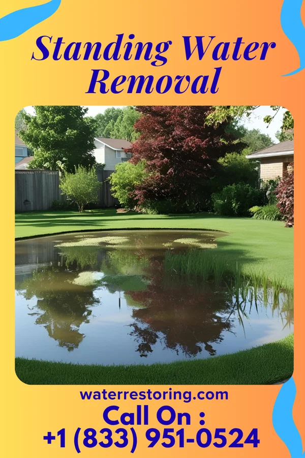 Standing Water Removal in Independence, KS